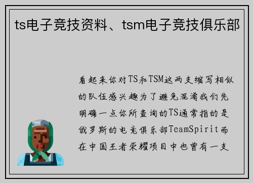 ts电子竞技资料、tsm电子竞技俱乐部
